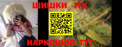 амф Камышлов