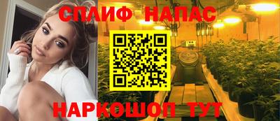 амф Камышлов