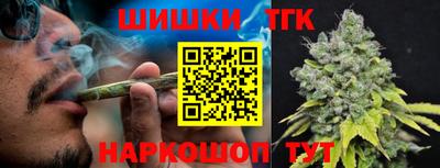 амф Камышлов