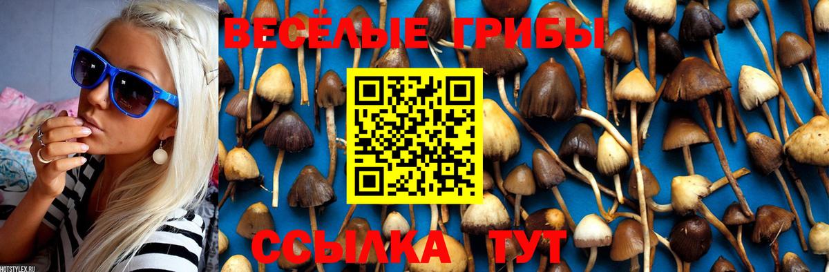 Вичуга  Псилоцибиновые грибы мицелий  Галлюциногенные грибы Cubensis  что такое наркотик  Вход с VPN 